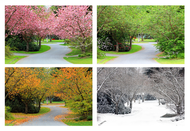 Four seasons on the same street.  - Photo, Image