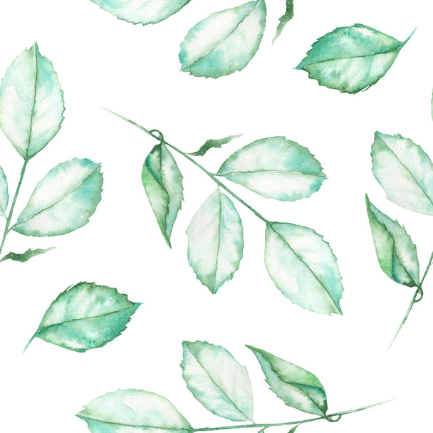 A seamless pattern with the watercolor roses leaves on a white background - Foto, immagini