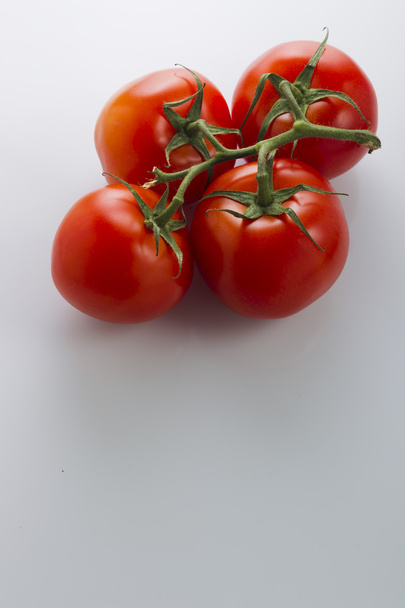 Red tomatoes on a green branch on a white background - Foto, immagini