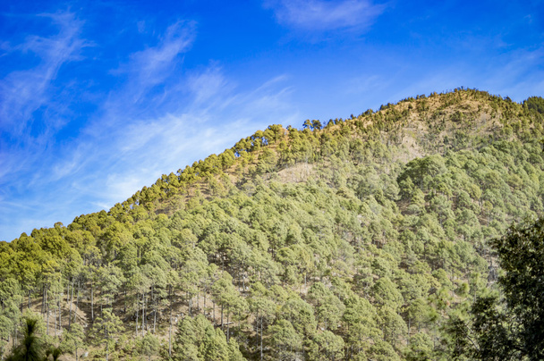 Ascending mountains with green cover - Photo, Image