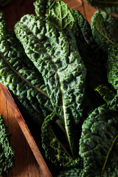 Organic Green Lacinato Kale - Zdjęcie, obraz
