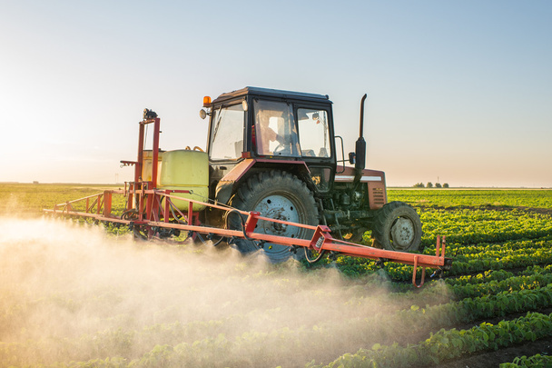 Tractor spraying soybean  - Valokuva, kuva