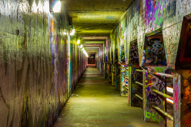 Graffiti on the walls of Krog Street Tunnel in Atlanta, Georgia - Foto, Bild