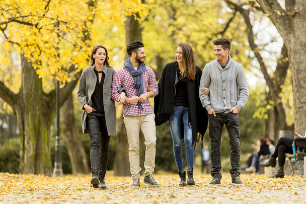 Young people in the autumn park - Photo, Image