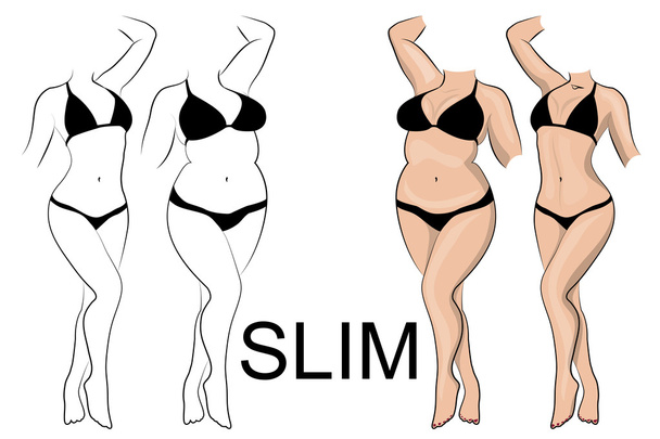 slimness and weight loss - Vector, Image