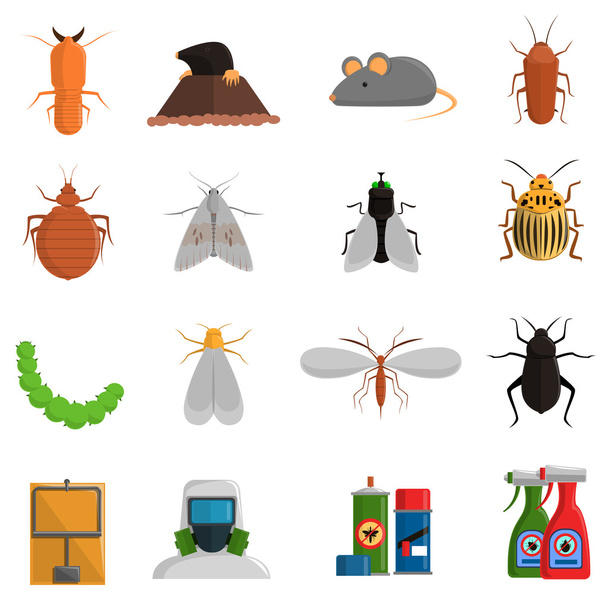 Set de iconos de plagas
 - Vector, imagen