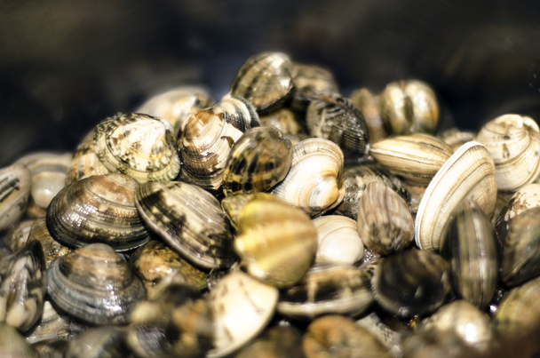 молюски з каструлі під час приготування їжі
 - Фото, зображення