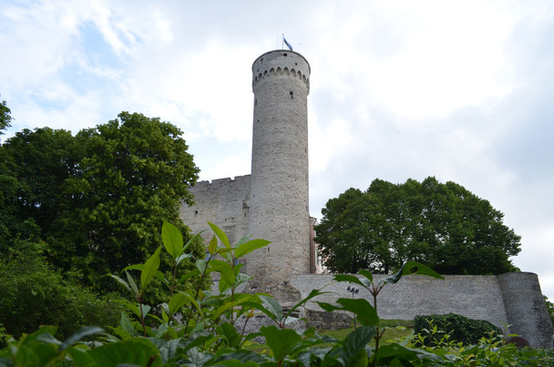 ТАЛЛИН, ЭСТОНИЯ - 16 июля 2015 года: Верхний город Таллинна. Старый Таллинн входит в список Всемирного наследия ЮНЕСКО
 - Фото, изображение