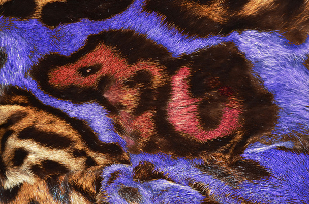 sfondo di pelliccia felina
 - Foto, immagini