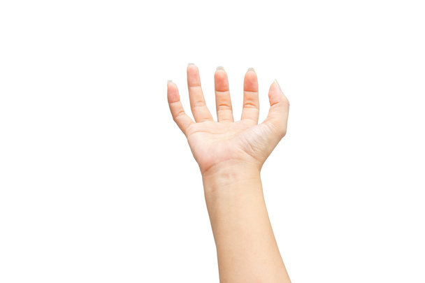 vrouwelijke hand op de geïsoleerde op witte achtergrond - Foto, afbeelding