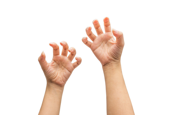 két kéz elszigetelt fehér háttér - Fotó, kép