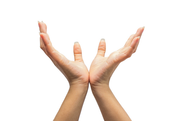 дві руки ізольовані на білому тлі
 - Фото, зображення