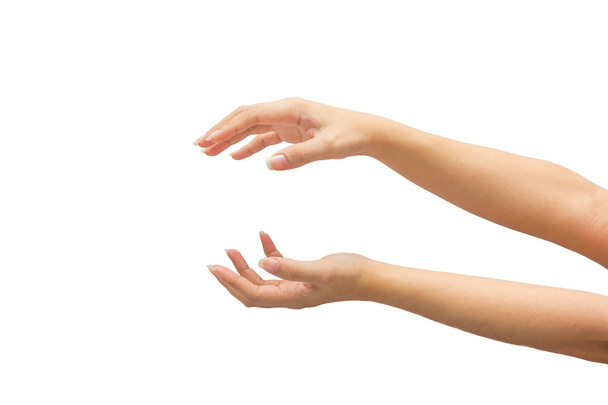женская рука на изолированном белом фоне
 - Фото, изображение