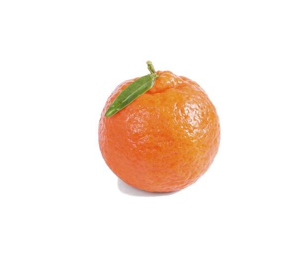 κόκκινο σε λευκό φόντο με φύλλο Tangerine - Φωτογραφία, εικόνα