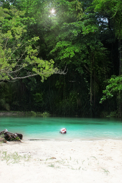 Secluded cove - Photo, Image
