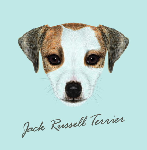 Джек Рассел Терьер собака животное милое личико. Векторный смешной Джек Рассел Терьер коричнево-белый портрет головы щенка. Реалистичный меховой портрет чистокровной молодой собачки на голубом фоне
. - Вектор,изображение