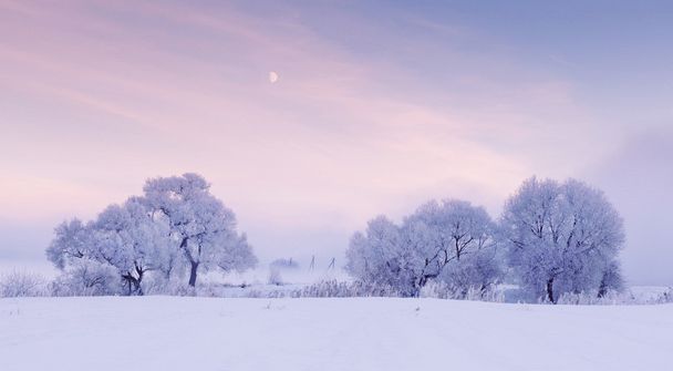 Mond im Winter am Himmel - Foto, Bild