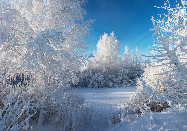 Cristal claro mañana de invierno
 - Foto, imagen