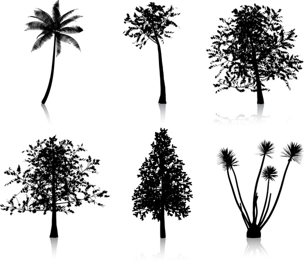 дерево силуети
 - Фото, зображення