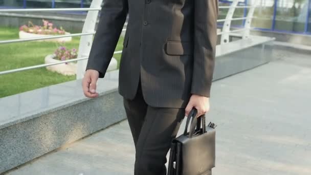 businessman in a suit with a briefcase - Imágenes, Vídeo