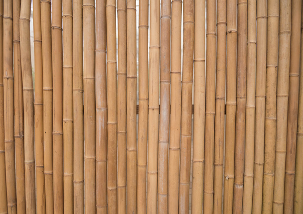 Bambusz, kerítés, bambusz csempe segítségével a panel. - Fotó, kép