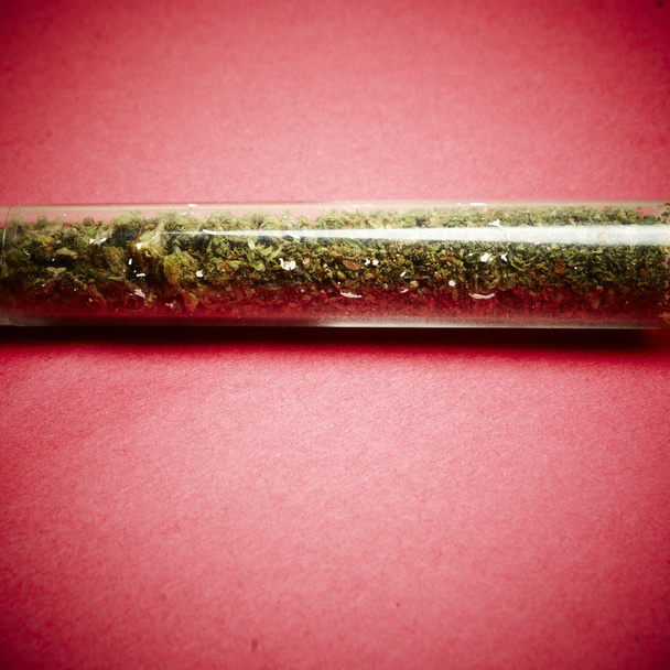 Marijuana Bud légal Pot de cannabis ou mauvaise herbe
 - Photo, image