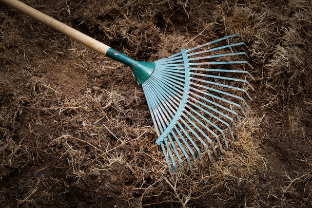 werf werk, voorbereiding bodem in de tuin met rake shoveling - Foto, afbeelding
