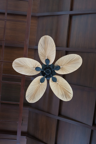 ventilador de techo de madera tropical
 - Foto, Imagen