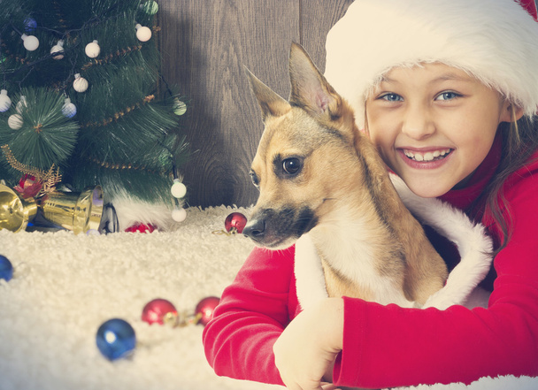 child, christmas and pets - Foto, afbeelding