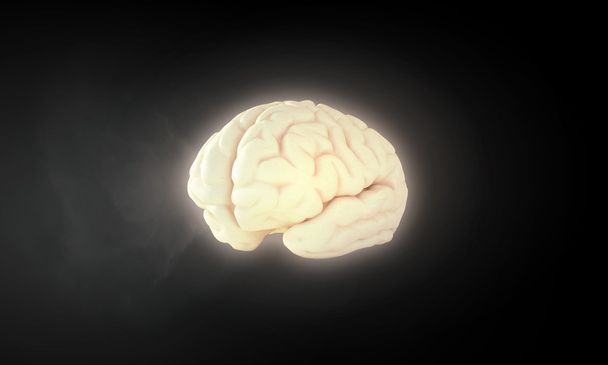 Εικόνα του ανθρώπινου εγκεφάλου - Φωτογραφία, εικόνα