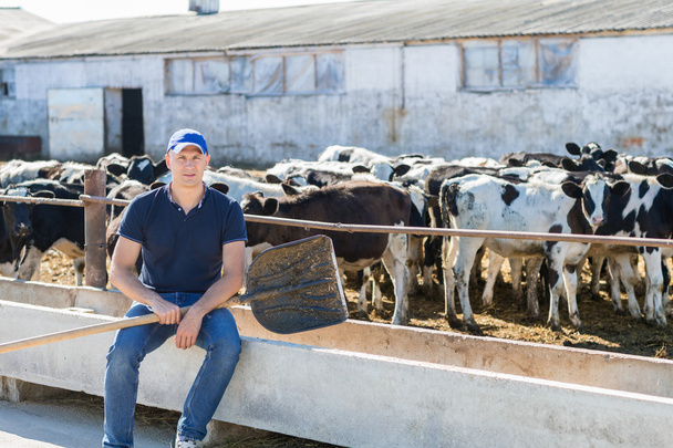 αγρότης εργάζεται σε αγρόκτημα με αγελάδες γαλακτοπαραγωγής - Φωτογραφία, εικόνα
