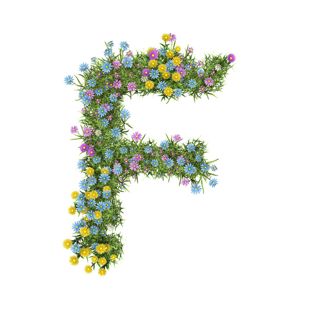 harf f, üzerinde beyaz izole çiçek alfabesi - Fotoğraf, Görsel