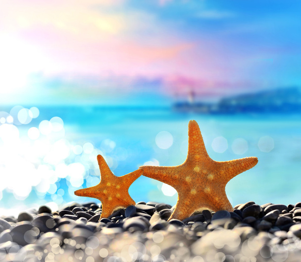 Peixe-estrela na praia. Hora de verão
 - Foto, Imagem