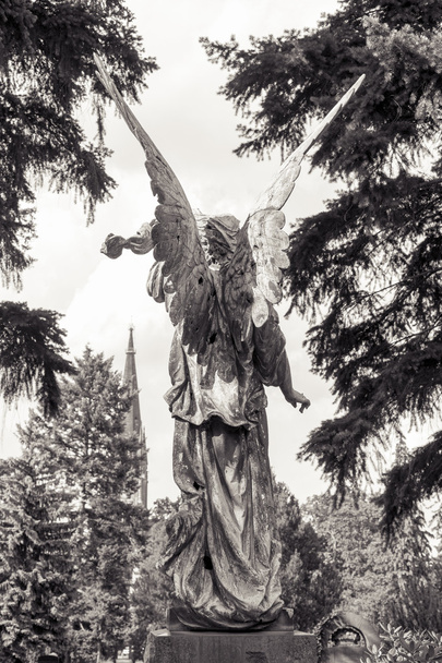 siyah ve beyaz bir melek kadeh - Fotoğraf, Görsel