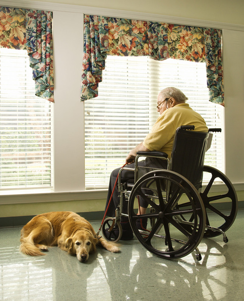 Elderly Man in Wheelchair and dog - Fotografie, Obrázek