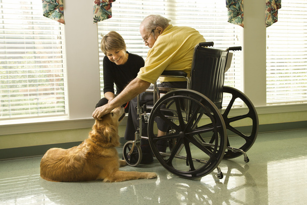 Man in wheelchair with dog. - Fotografie, Obrázek