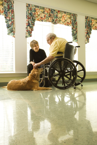 Elderly Man with Woman Petting Dog - Foto, afbeelding