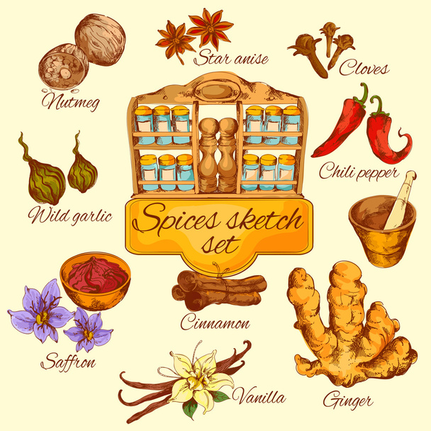 Spices Sketch Colored - Vector, Image