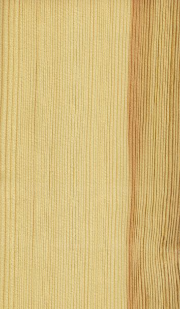 Pine (wood texture) - 写真・画像