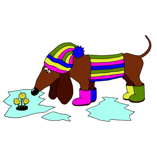 imagem vetorial dachshund usando botas de borracha, que olha para o
  - Vetor, Imagem