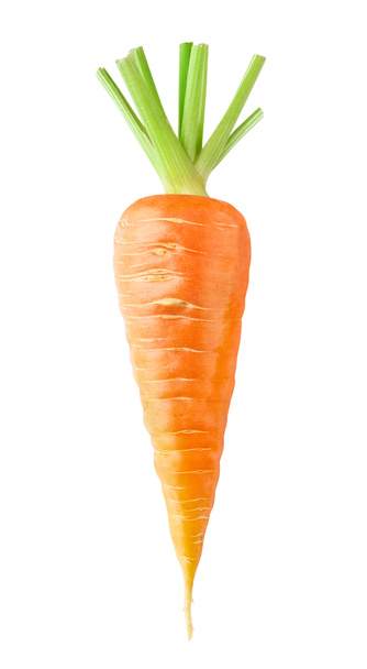 Одна изолированная морковка
 - Фото, изображение