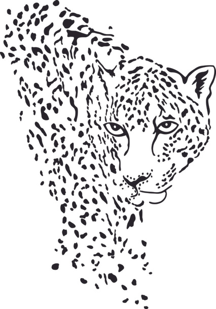 sylwetka leopard - Wektor, obraz