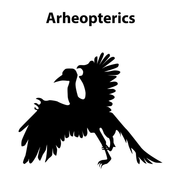 Arheopterics dinosaur silhouette - Vecteur, image