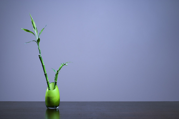 Lucky Bamboo in Green Glass Vase - Фото, зображення