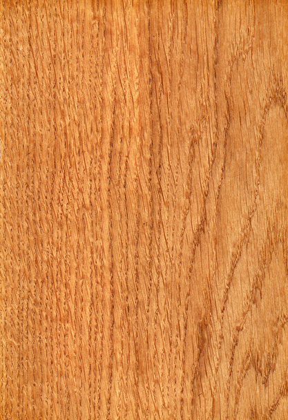 Ukrainian oak (wood texture) - Photo, Image