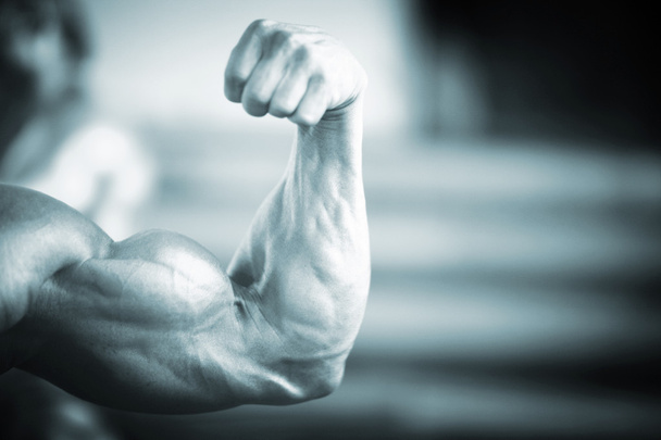 Αρσενικό bodybuilder μυώδης άνδρας  - Φωτογραφία, εικόνα