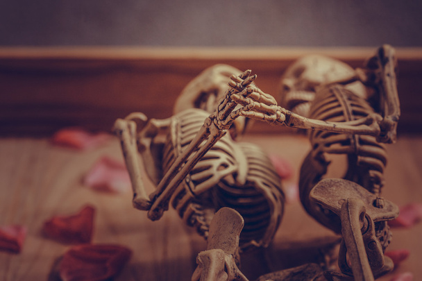 Skeleton holding hand for eternal love. Selective focus on hand  - Photo, Image