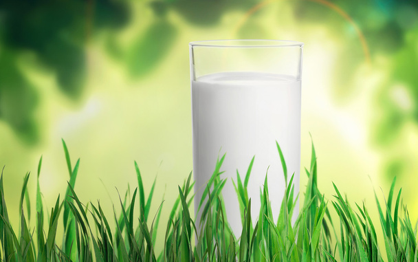 glass of milk in grass - 写真・画像