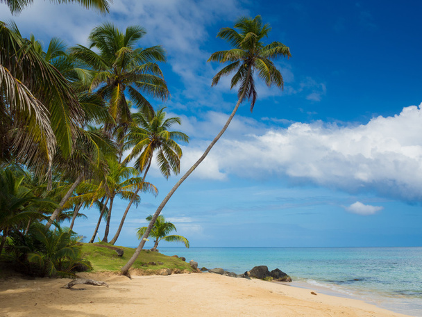relaxační tropické pláži - Fotografie, Obrázek