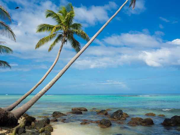relaksujący tropikalnej plaży - Zdjęcie, obraz